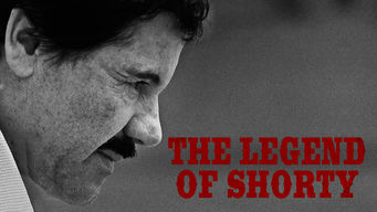 Drug Lord: The Legend of Shorty