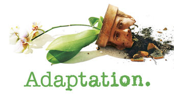 Adaptation