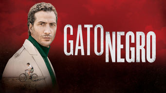 Gato Negro