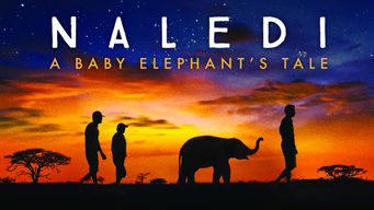 Naledi: A Baby Elephant’s Tale