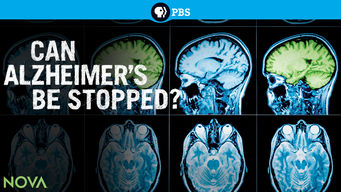 Can Alzheimer’s Be Stopped?