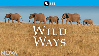 Wild Ways