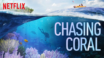 Chasing Coral