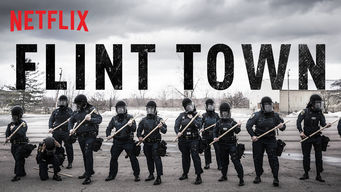Flint Town