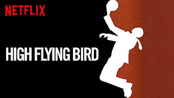 High Flying Bird