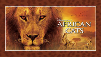 African Cats