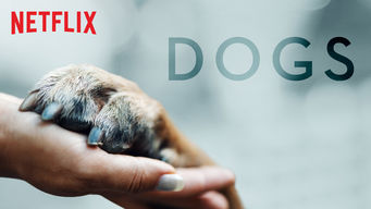 Dogs