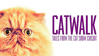 Catwalk: Tales from the Cat Show Circuit