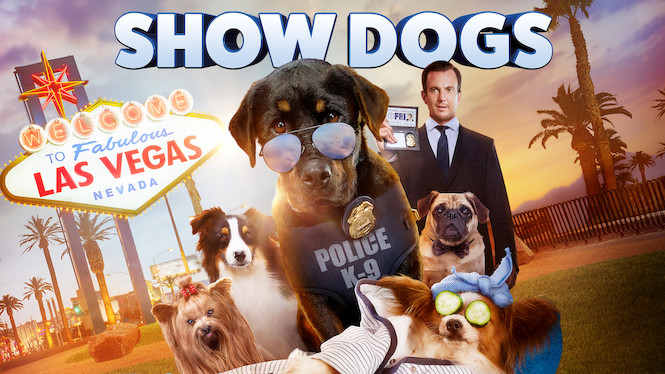 Show Dogs